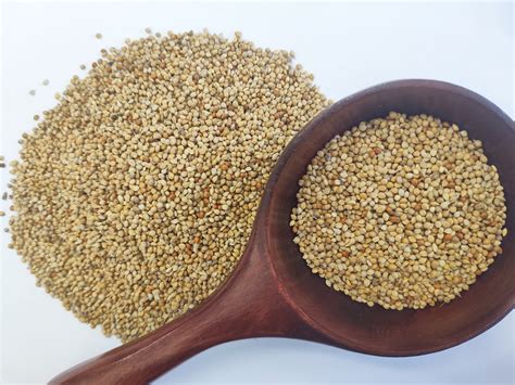 New Crop Chinese yellow millet seeds in husk Low price yellow millet products,China New Crop ...