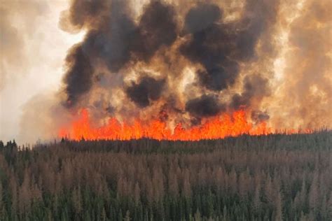 24000 People Evacuated In Canada As 103 Wildfires Burn News Digest