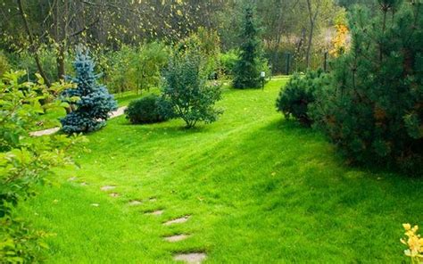 55 Natural Landscaping Ideas Going Green To Save Money And Improve Health