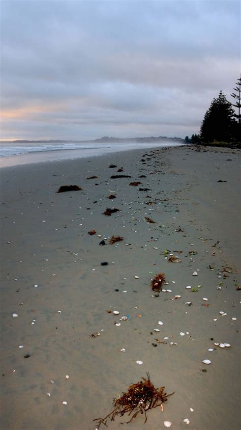 Pin By Mark Foster On Hibiscus Coast New Zealand With Images Beach