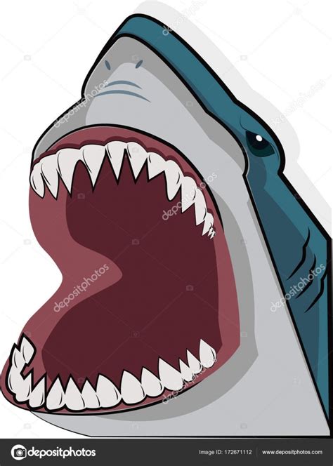 Shark Mouth Open Illustration Maryandbendy