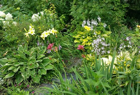 These garden treasures ship in august along with our bearded irises. Pin by Priscilla S. on My ZONE 5 PERENNIAL Garden ...