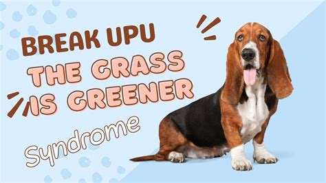 Break Up The Grass Is Greener Syndrome Youtube
