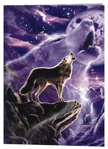Purple Everything Wolf Photos Wolf Pictures Wolf Howling