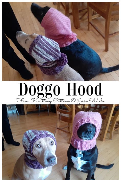 Dog Beanie Pattern Crochet Dog Hat Free Pattern Knitting Patterns For