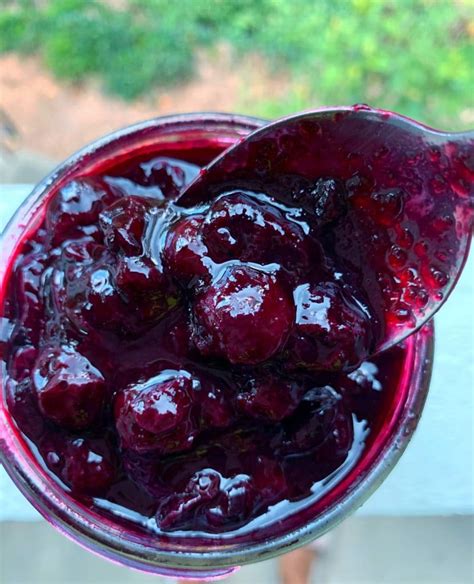 Easy Homemade Blueberry Jam No Pectin Coined Cuisine