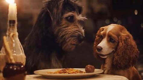 ‎lady And The Tramp 2019 Directed By Charlie Bean Reviews Film