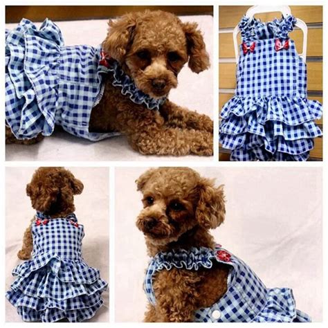New Spring Summer Pet Clothes Cotton Small Dog Dress Blue Plaid Dog