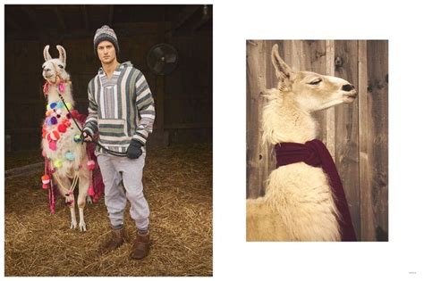 Vogue Raves About Llamas Shoots Garrett Neff In Pajamas With Llamas