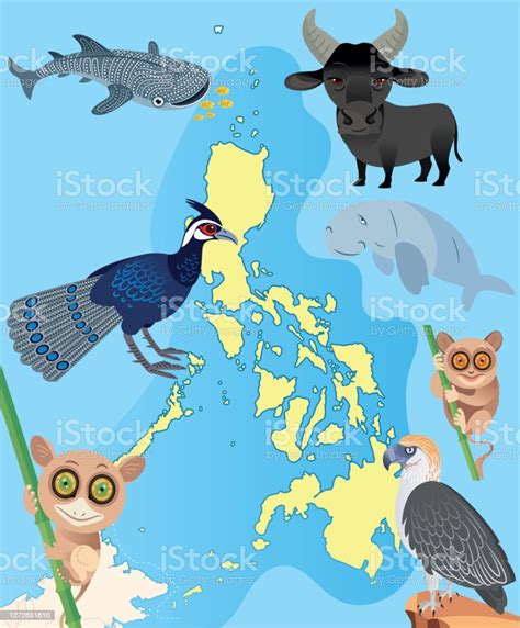 필리핀 동물 및 지도 지도에 대한 스톡 벡터 아트 및 기타 이미지 지도 필리핀 귀여운 Istock