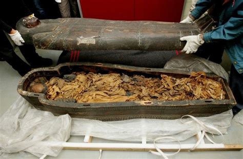 Study Of Mummies Unearths Roman Lineage Of Tuberculosis