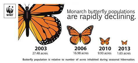Pax On Both Houses Heres Why Monarch Butterflies Keep Disappearing