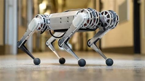 Nous avons rencontré Mini Cheetah le robot qui sait faire un saut