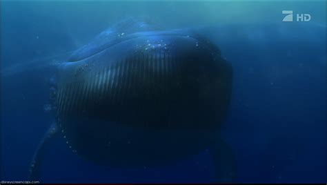 Watch short videos about #uvula on tiktok. Image - Nemo-disneyscreencaps.com-7218.jpg | Pixar Wiki | FANDOM powered by Wikia