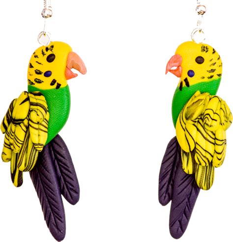 Download Colorful Budgie Earrings Transparent Background
