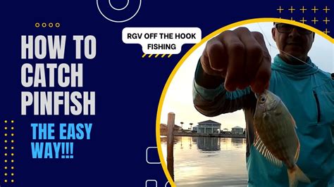 How To Catch Pinfish The Easy Way Youtube
