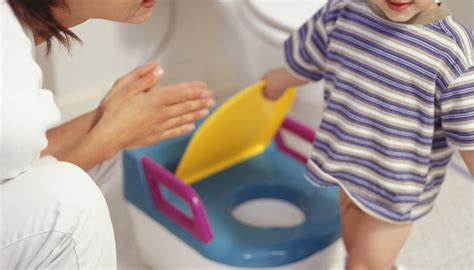 How To Potty Train A Boy How To Adult