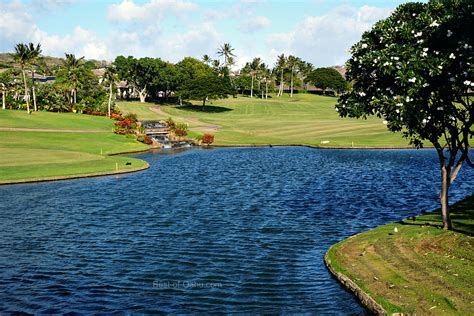 Top 11 Oahu Golf Courses Worth Playing