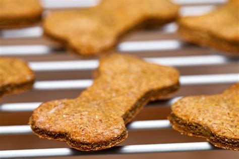 Easy Pumpkin Dog Treats And Recipes To Try At Home Ultimate Pet Nutrition