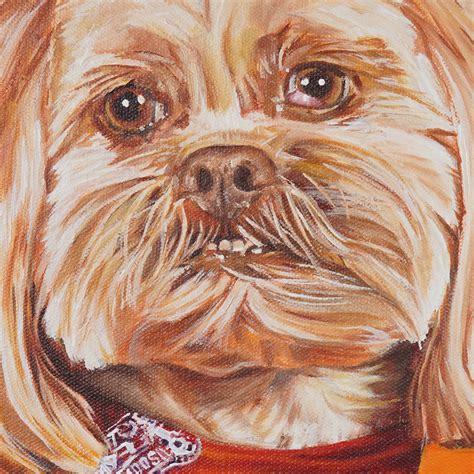 Cameron Dixons Commissioned Pet Portrait Paintings And Other