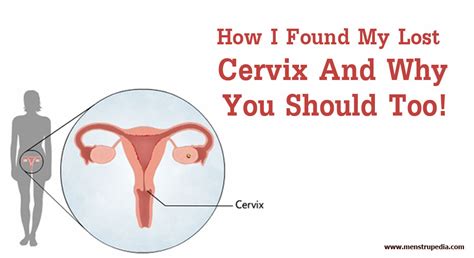 Menstrupedia Blog How I Found My Lost Cervix And Why You Should Too