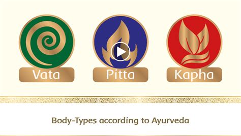 Everything You Need To Know About Vata Pitta And Kapha Maharishi