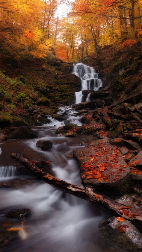 Download 2160x3840 Wallpaper Autumn Forest Water Current Waterfall