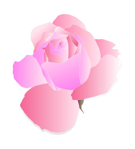 Pink Rose Svg Download Pink Rose Svg For Free 2019