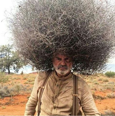 List 94 Pictures Bad Hair Day Pictures Stunning