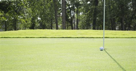 Golf Ball Rolling To The Hole On Golf Course Stock Image Image Of