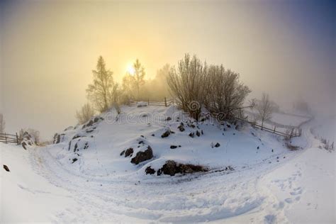 Beautiful Winter Mountain Landscape Romania Stock Image Image Of