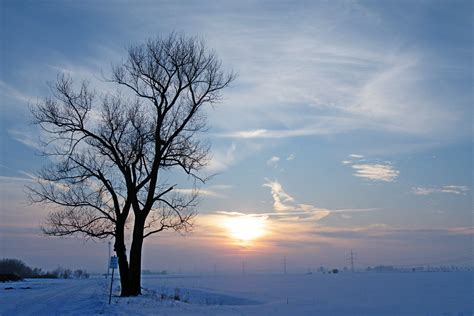 Free Images Tree Nature Horizon Branch Snow Cold Cloud Sky
