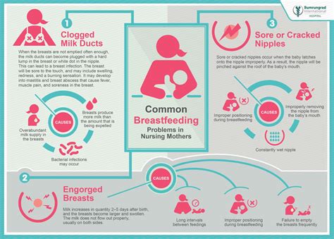 Common Breastfeeding Problems Bumrungrad Hospital