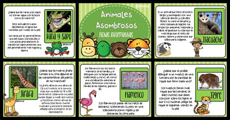 Animales Asombrosos Fichas Informativas Imagenes Educativas