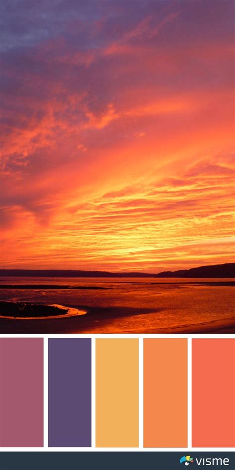 Cool 50 Beautiful Color Palettes 2022