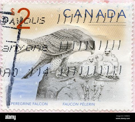 Canada Postage Stamp Stock Photo Alamy