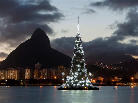 The Best Christmas Trees In The World Bnl