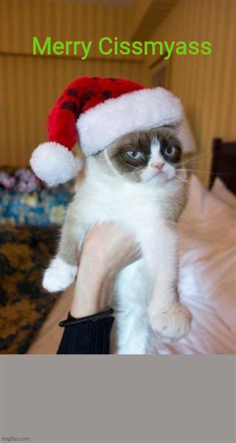 Grumpy Cat Christmas Memes Imgflip