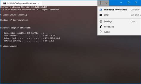 Windows Terminal For Windows 10 Now In The Microsoft Store • Pureinfotech