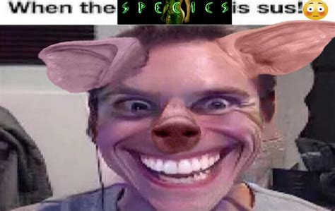 When The Species Is Sus When The Imposter Is Sus Sus Jerma Know