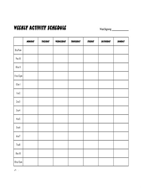 Activity Schedule 10 Examples Format Pdf Examples