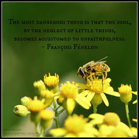 Honey Bee Quotes Quotesgram