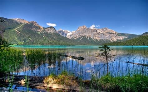 Emerald Lake Colorado Mountain Landscape Hd Wallpapers Wallpaperbetter