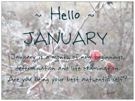Hello January | Hello january quotes, Hello january 