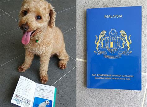 Payable to the county of san diego, is paid separately from the passport fee. Has Your Pet Registered For Their Very Own Malaysian ...