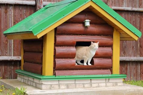 Outdoor Cat Houses For Feral Cats Waterproof And Insulated Cat Houses