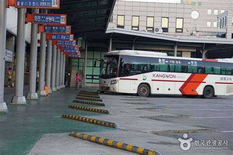 Chuncheon Intercity Bus Terminal 춘천시외버스터미널 Trippose