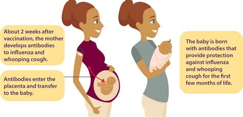 Data Visualization Vaccinating Pregnant Women Vitalsigns Cdc