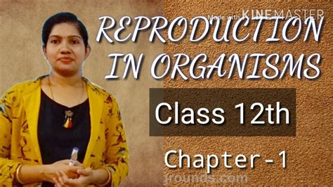 Reproduction In Organisms Part 2 Youtube