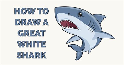 How To Draw A Great White Shark Really Easy Drawing Tutorial